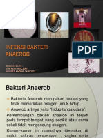 Infeksi Bakteri Anaerob