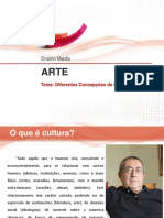 Aula Diversidade Cultural