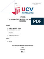 241664952-informe-de-fermentacion-docx.docx