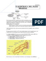 420-2014-02-26-13 Patologia plexo braquial.pdf