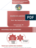 Aula 6 - Noções de Laboratório