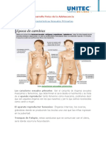 Desarrollo Físico de La Adolescencia