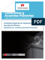 Casaciones y Acuerdos Plenarios