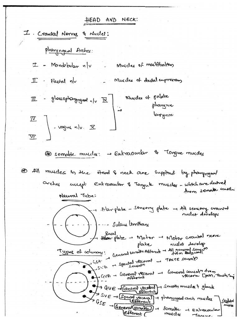 Ashwini Sir Anatomy Pdf