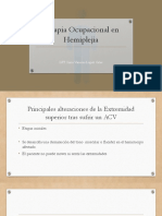 Terapia Ocupacional en Hemiplejia (