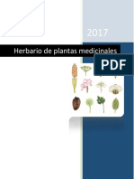 Herbario Plantas Medicinales