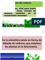 presentacion-del-ciclo-del-carbono.ppt