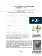 Tarea N°5.docx