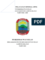 SPM Puskesmas Way Sulan 2016-2020
