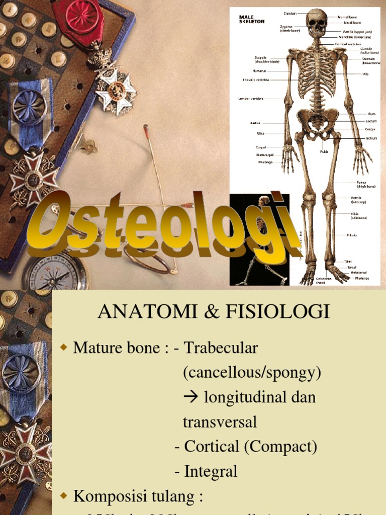 Osteologie/Osteology Fachzeitschrift – ONZVM