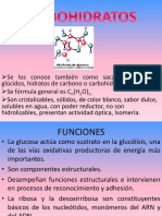 Carbohidratos: clasificación, estructura y funciones