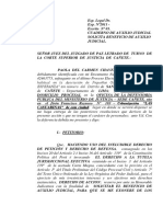 Auxilio Judicial - Filiacion - Paola Chavez