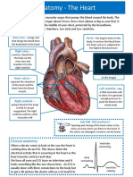 Module 1 - Heart Anatomy