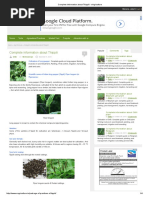 Complete Information About Thippili - EAgriculture