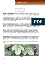 Bischofia Javanica PDF