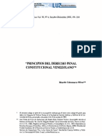 PRINCIPIOS DEL DERECHO PENAL.pdf