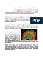 Cytoskeleton Essential Cell Biology Bruce Translate