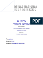 Nopal Tesoro Azteca