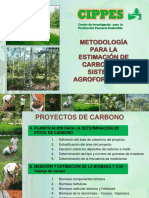 Metodo Biomasa y Carbono-Saf