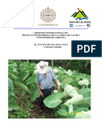CultivodeMalanga-yuca (1).pdf