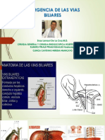 CLASE EMERGENCIA DE LAS VIAS BILIARES.pptx