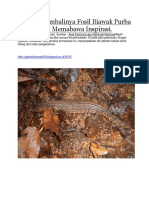 Fosil Biawak Purba Kalimantan