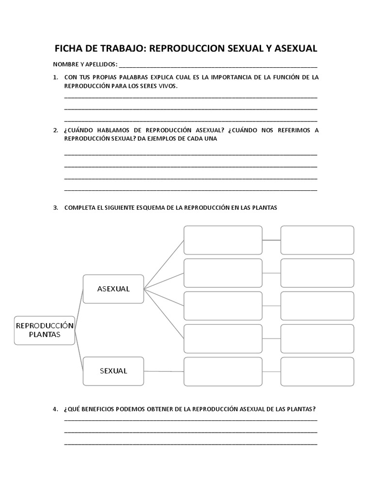 Ficha de Trabajo-Reproduccion | PDF | Crecimiento personal y ...
