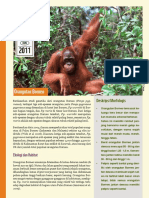 orangutan_borneo.pdf