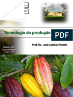 Produção e processamento do cacau