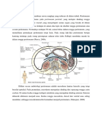 191992104-Anatomi-Peritoneum.docx