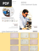 Urine Sediment Guide PDF