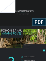 Mangrove Ppt2010