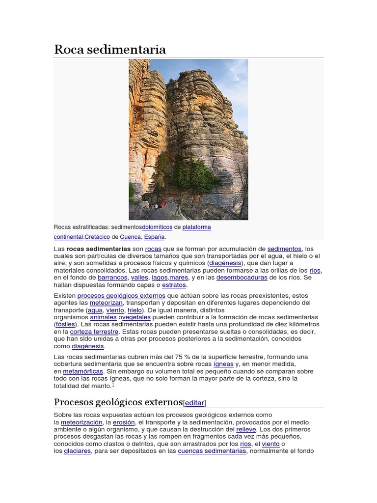 Características de las Rocas Sedimentarias | PDF | Roca clástica | Roca ...