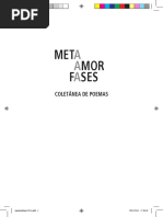 Meta Amor Fases