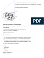 EJERCICIOS PARA RECUPERAR LA PENDIENTE DE BIOLOGÍA Y GEOLOGÍA DE 3º ESO.docx