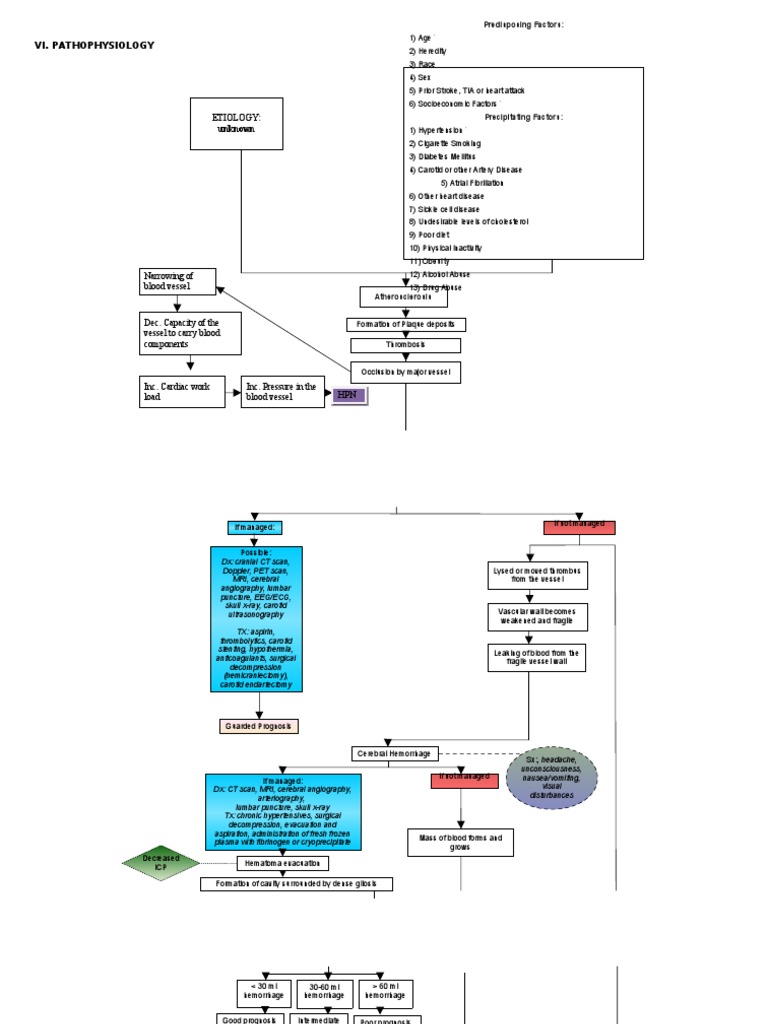 CVA Pathophysiology Overview | PDF | Stroke | Ischemia