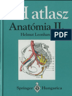Anatomia II Kotet