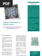 La Mer-Ka-Ba y la Flor de la Vida.pdf