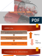 Metabolismo Del Hierro