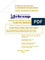Proyecto Pavipollos Completoultimo