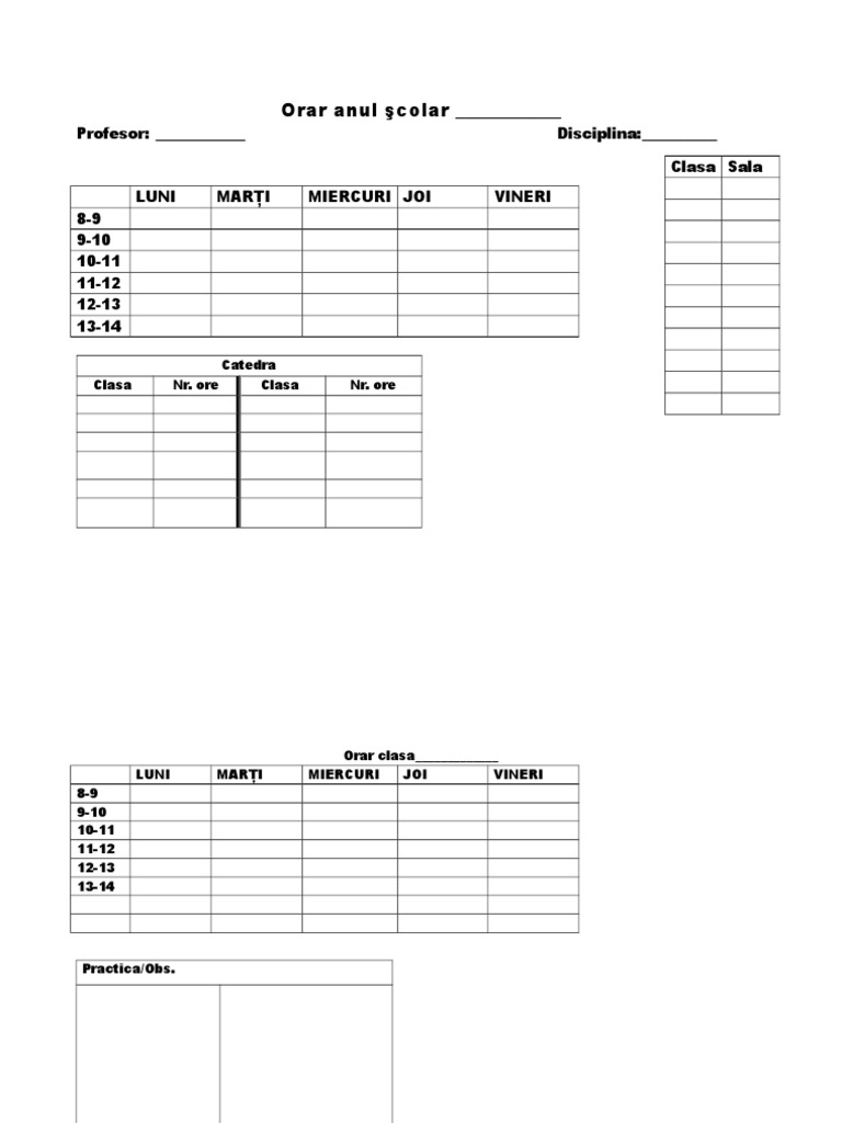 Model Orar | PDF