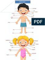 Partes Del Cuerpo Humano Ingles