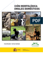 Valoracion morfologica de los animales domésticos.pdf