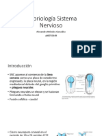 Embriología Sistema Nervioso