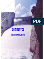 SEDIMENTOS info web.pdf