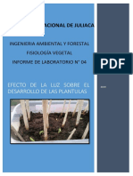 Efectos de La Luz Sobre Las Plantas Informe de Fisiologia Unaj