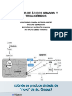 Síntesis de Ácidos Grasos y Triglicéridos