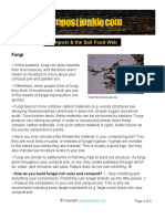 Compost & The Soil Food Web: Fungi