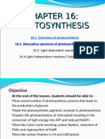 Photosynthesis 1 NAD