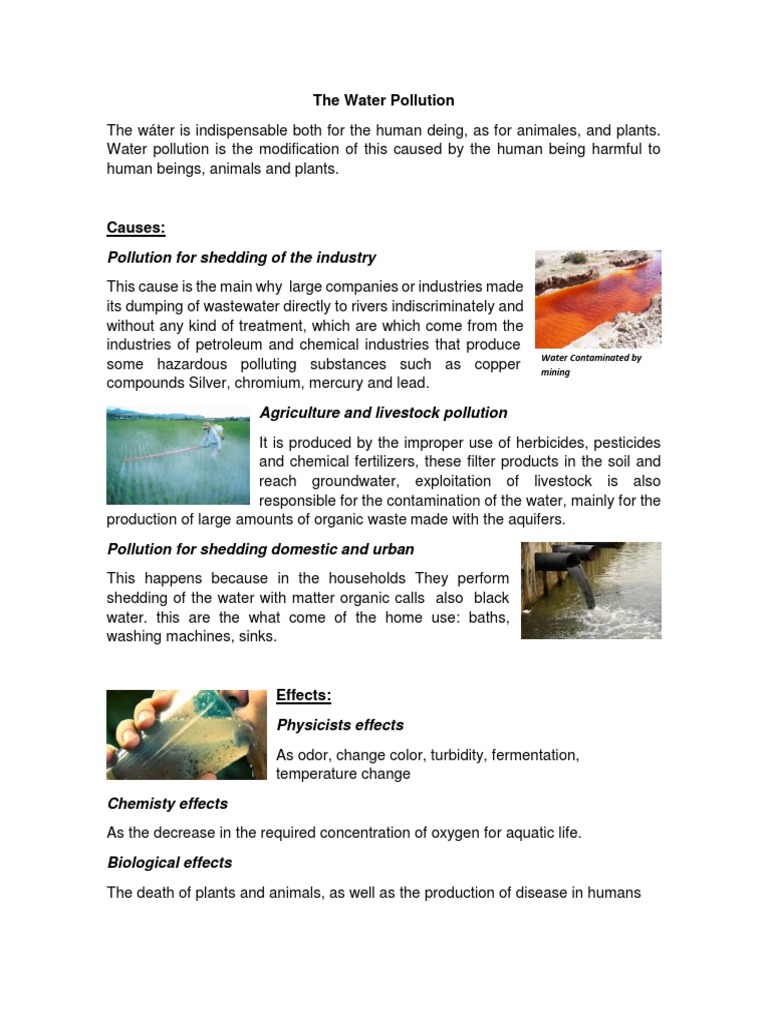 Causes and Effects of Water Pollution | PDF | Science & Mathematics